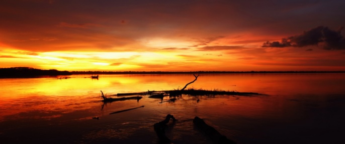 Those stunning Amazon sunset!