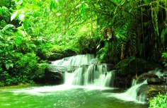 Isolated, nearly unknown little jungle waterfall, 1 hour walking and 200m swimming into the jungle. Loved it!